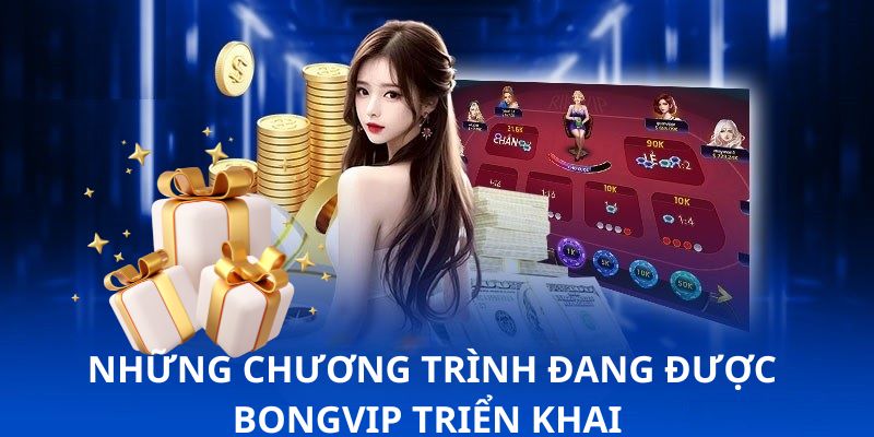 Những chương trình đang được Bongvip triển khai
