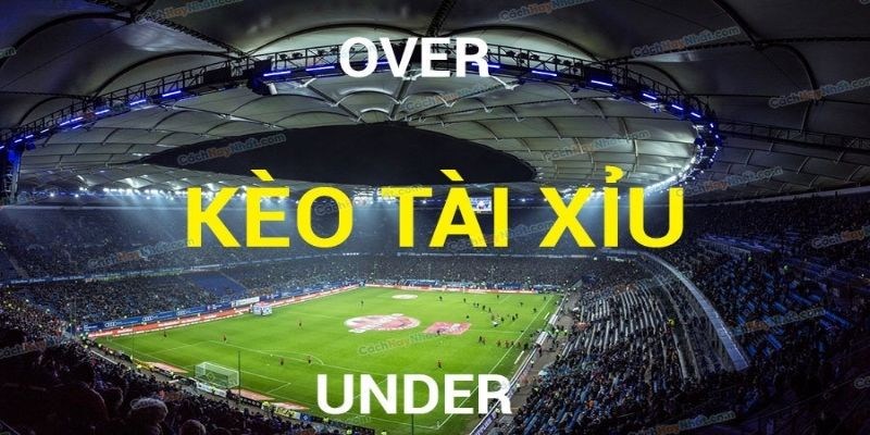 Cách cá độ bóng đá hiệu quả và mẹo né kèo dụ tài xỉu