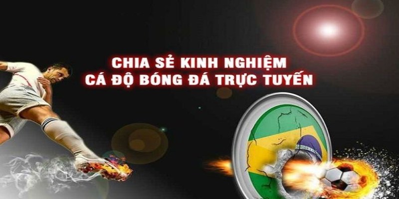 Kinh Nghiệm Cá Độ Bóng Đá Mới Nhất Chưa Ai Nói Cho Bạn