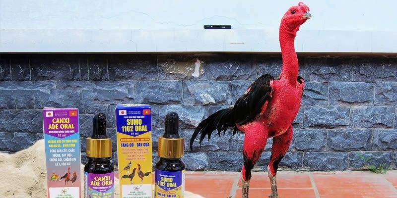 Dùng đúng cách và liều lượng để phát huy tối đa tác dụng