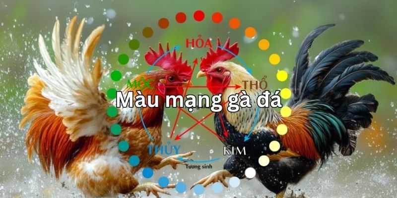 Hội viên cần kết hợp chiến thuật để giành thắng lớn