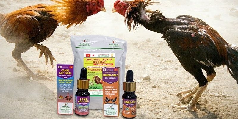 Thuốc Nuôi Đá Gà Tổng Hợp Kiến Thức Chi Tiết Từ Bongvip