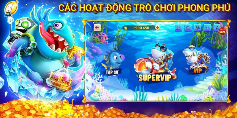 Tránh mắc sai lầm thường gặp, tối ưu hóa từng pha săn ngư