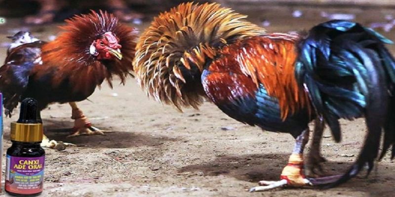 Trước khi cho sử dụng hội viên cần tìm hiểu thật kỹ lưỡng