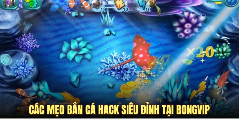 Các mẹo bắn cá hack siêu đỉnh tại BONGVIP
