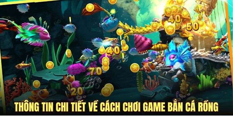 Thông tin chi tiết về cách chơi game bắn cá rồng