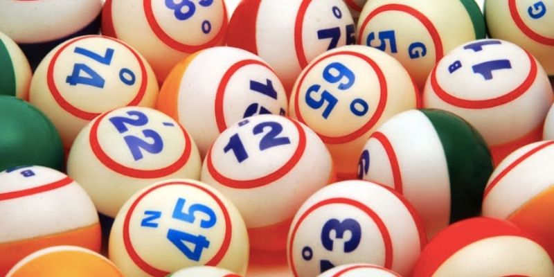 Bạch thủ lô là gì và khi nào nên xuống tiền chuẩn xác