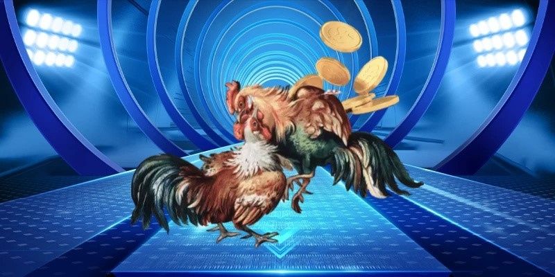 Bí kíp chọn kèo thơm, nâng cao tỷ lệ thắng mỗi trận