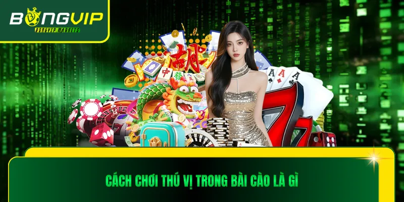 Cách chơi thú vị trong bài cào là gì