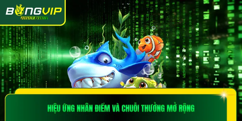 Hiệu ứng nhân điểm và chuỗi thưởng mở rộng