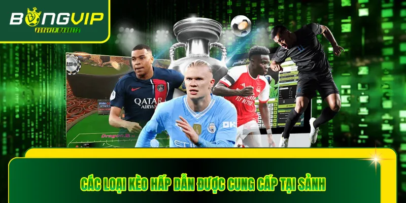 Các loại kèo hấp dẫn được cung cấp tại sảnh