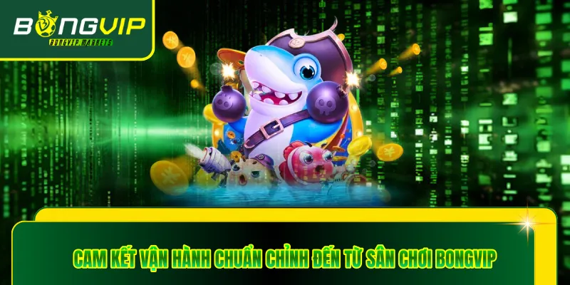 Cam kết vận hành chuẩn chỉnh đến từ sân chơi Bongvip