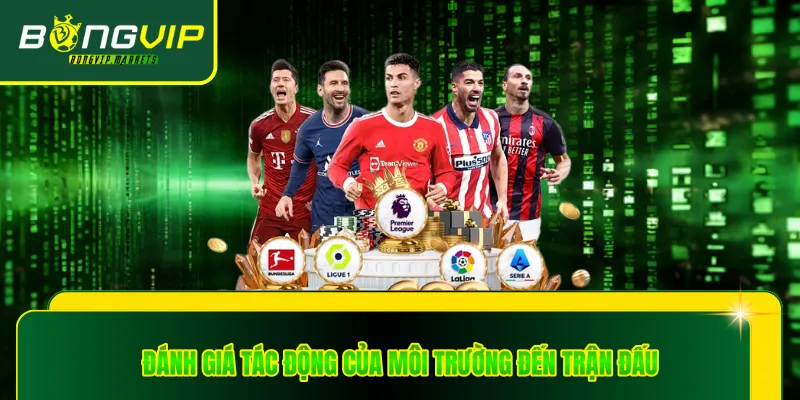 Đánh giá tác động của môi trường đến trận đấu