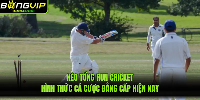 Kèo Tổng Run Cricket - Hình Thức Cá Cược Đẳng Cấp Hiện Nay