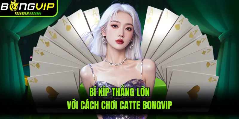 Bí kíp thắng lớn với cách chơi catte BONGVIP