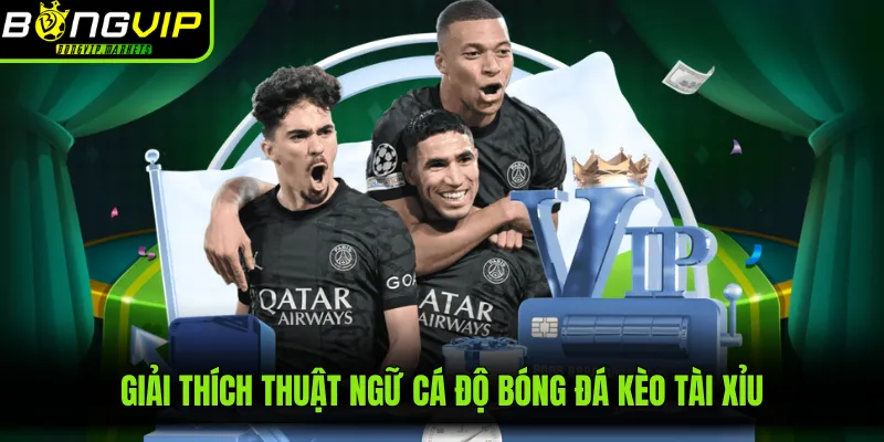 Giải thích thuật ngữ cá độ bóng đá kèo tài xỉu