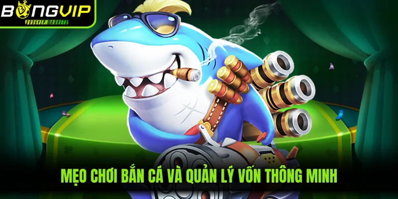 Mẹo chơi bắn cá và quản lý vốn thông minh