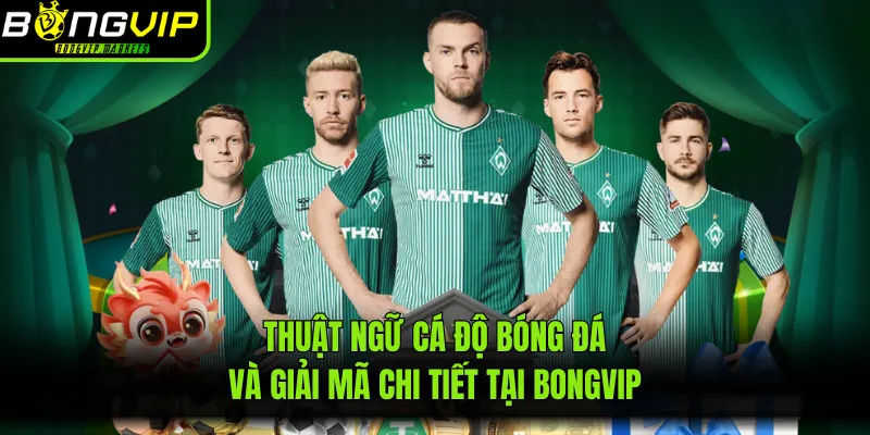 Thuật Ngữ Cá Độ Bóng Đá Và Giải Mã Chi Tiết Tại BONGVIP