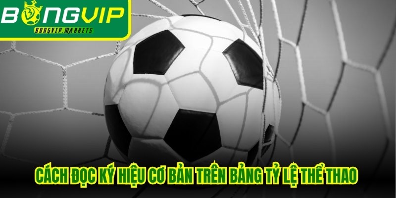Cách đọc các ký hiệu cơ bản trên bảng tỷ lệ thể thao trực tuyến