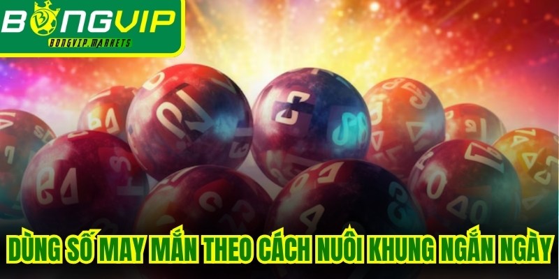 Dùng số may mắn theo cách nuôi khung ngắn ngày là giải pháp an toàn