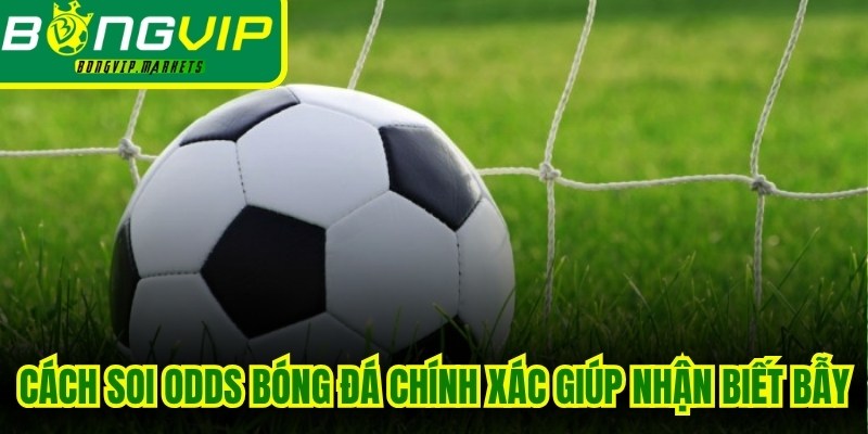 Cách soi Odds bóng đá chính xác giúp bạn nhận biết bẫy nhà cái