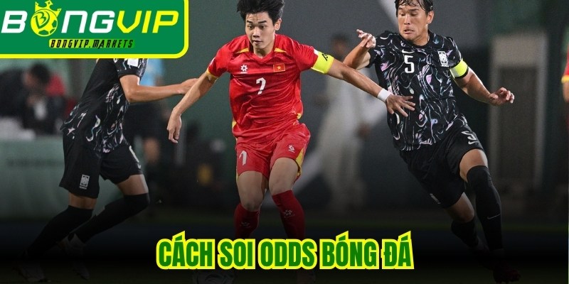Cách Soi Odds Bóng Đá