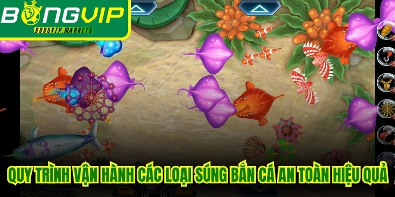 Quy trình vận hành các loại súng bắn cá an toàn hiệu quả