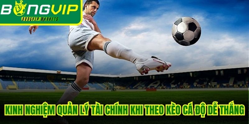 Kinh nghiệm quản lý tài chính khi anh em theo kèo cá độ dễ thắng