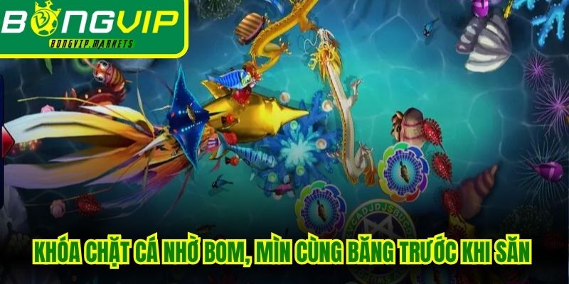 Khóa chặt cá nhờ bom, mìn cùng băng trước khi săn mục tiêu