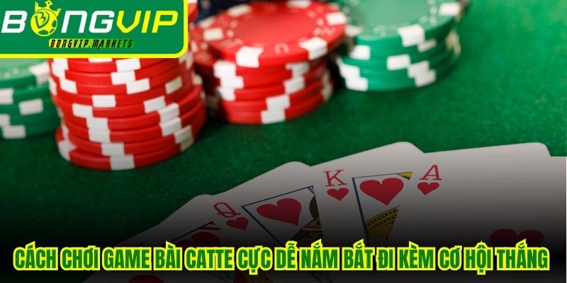 Cách chơi game bài Catte cực kỳ dễ nắm bắt đi kèm cơ hội thắng cao