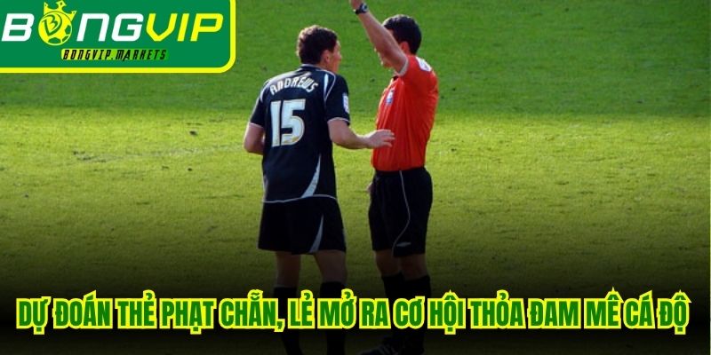 Dự đoán thẻ phạt chẵn, lẻ mở ra cơ hội thỏa đam mê cá độ bất tận